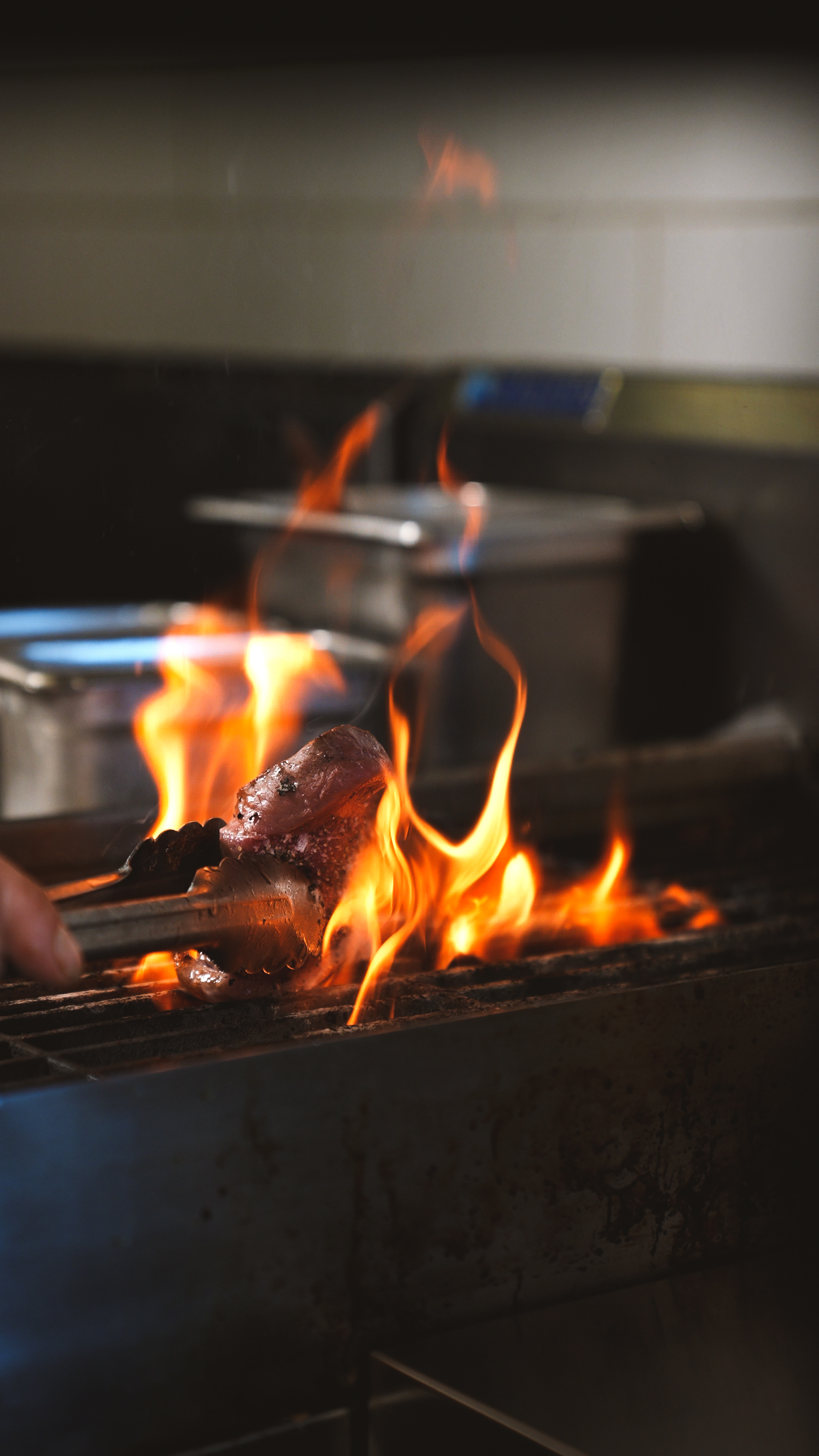 Professional food photography